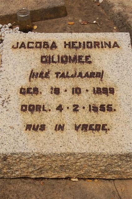 GILIOMEE Jacoba Hendrina nee TALJAARD 1899-1955