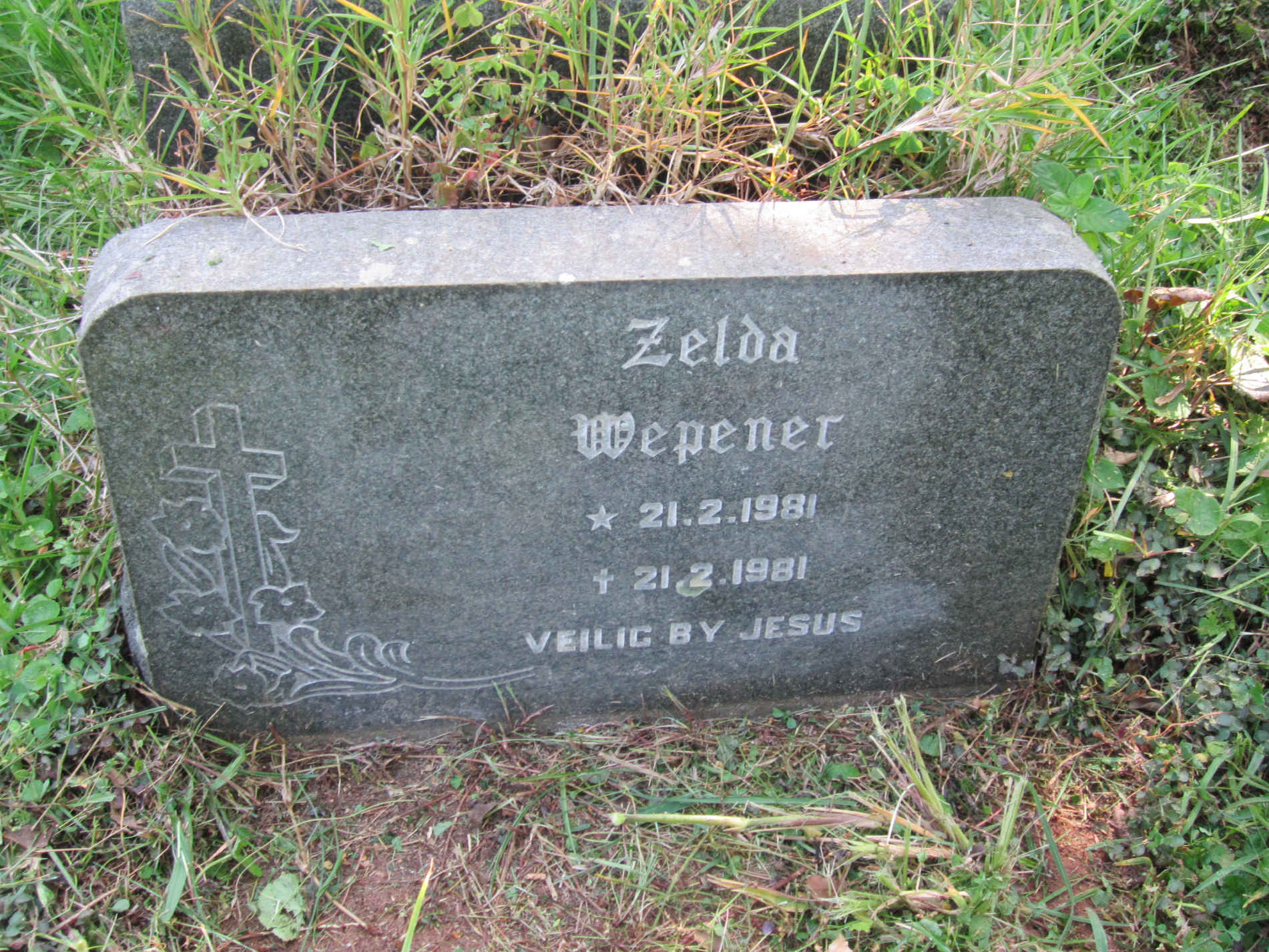 WEPENER Zelda 1981-1981