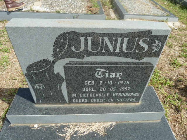 JUNIUS Tian 1976-1997