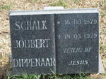 DIPPENAAR Schalk Joubert 1979-1979