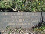 LOMBARD Andries 1904-1968