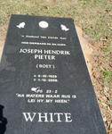 WHITE Joseph Hendrik Pieter 1929-2006