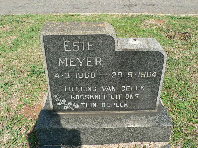 MEYER Esté 1960-1964