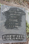 COETZEE Corrie 1928-1982