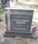 FERREIRA Petrus Johannes Cornelius 1956-1996