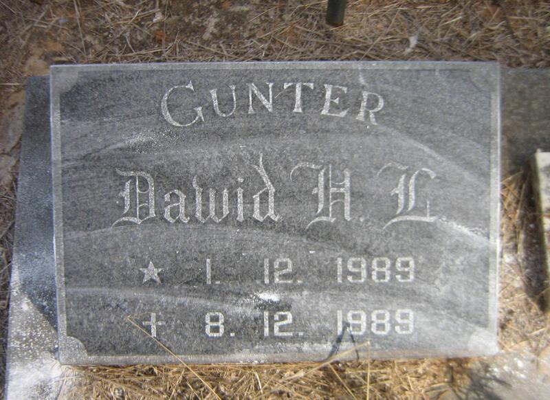 GUNTER Dawid H.L. 1989-1989