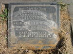 FERREIRA Jacobus Johannes 1941-1959
