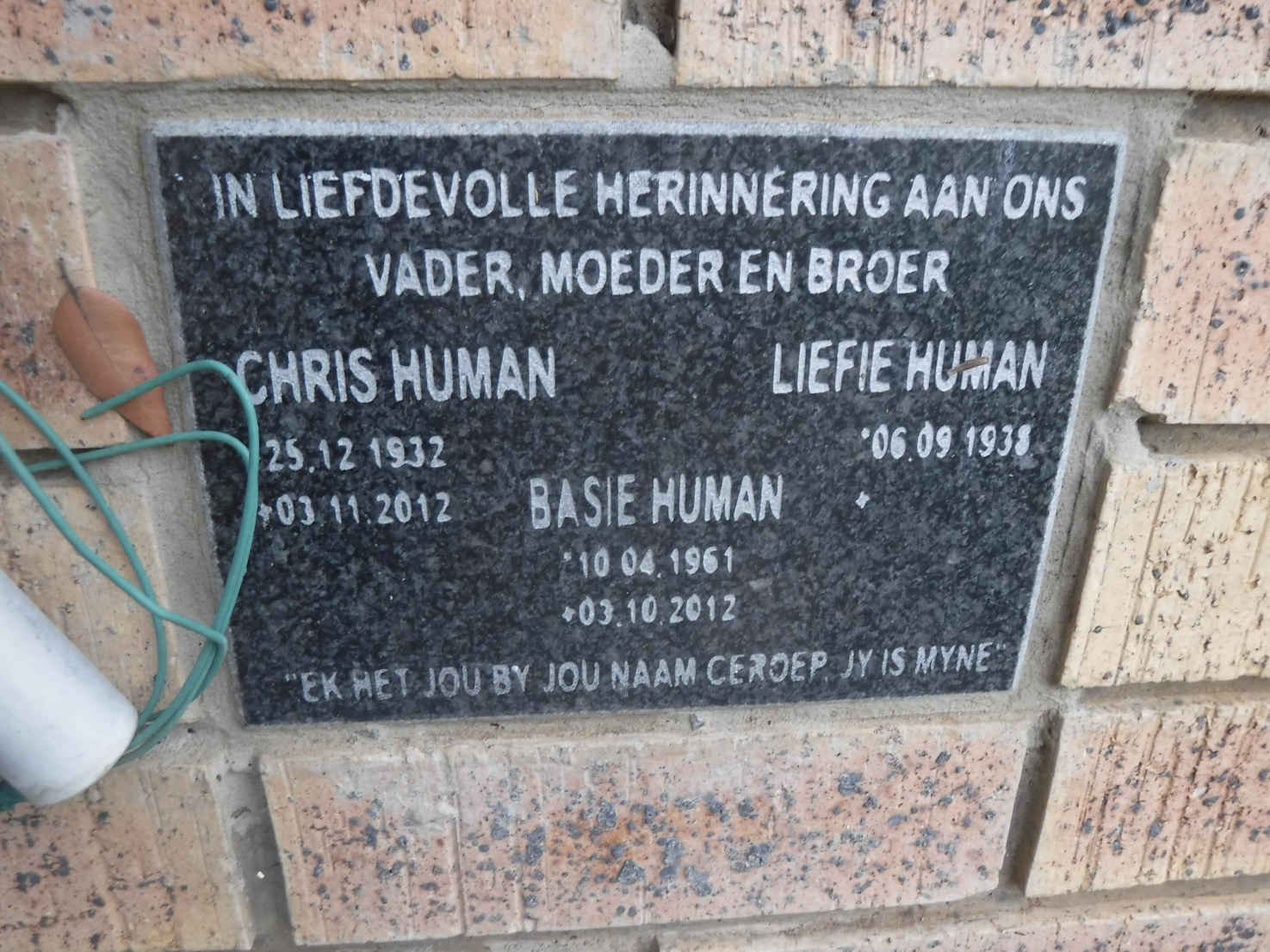 HUMAN Chris 1932-2012 & Liefie 1938- :: HUMAN Basie 1961-2012