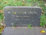 SMITH Moth, ENSOR -1965