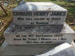 JAMES Edward Henry -1902