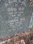 REID David 1858-1922 & Catherine THOMPSON 1862-1938
