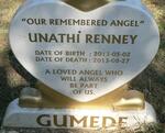 GUMEDE Unathi Renney 2013-2013