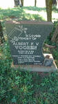 VOOREN Albert F.V. 1952-1983