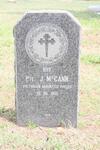 McCANN J. -1901