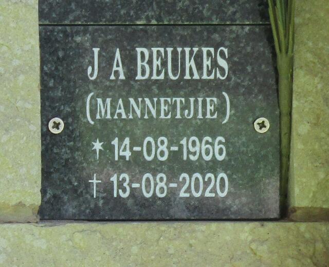 BEUKES J.A. 1966-2020