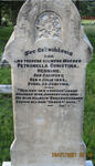 HENNING Petronella Christina nee DAMPSEY 1835-1910