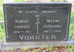 VORSTER Albert Joubert 1882-1947 & Helena Catharina 1887-1976