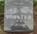 VORSTER Schalk Willem 1916-1985