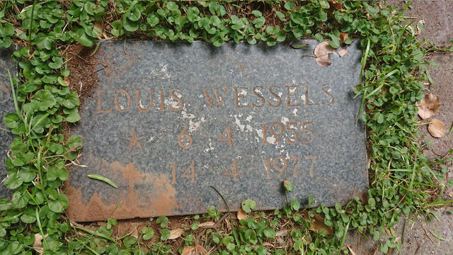 WESSELS Louis 1955-1977