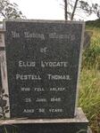 THOMAS Ellis Lydgate Pestell -1949