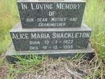 SHACKLETON Alice Maria 1922-1995
