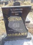 MORAKE Siena 1981-2021