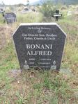 BONANI Alfred 1974-2017