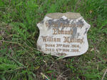 MULLINS Edmund William 1914-1914