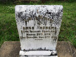 ANDREWS James 1875-1938