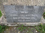 BATE Harry Gillman -1920