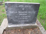 MULLER Amelia Wharton nee MASON -1925