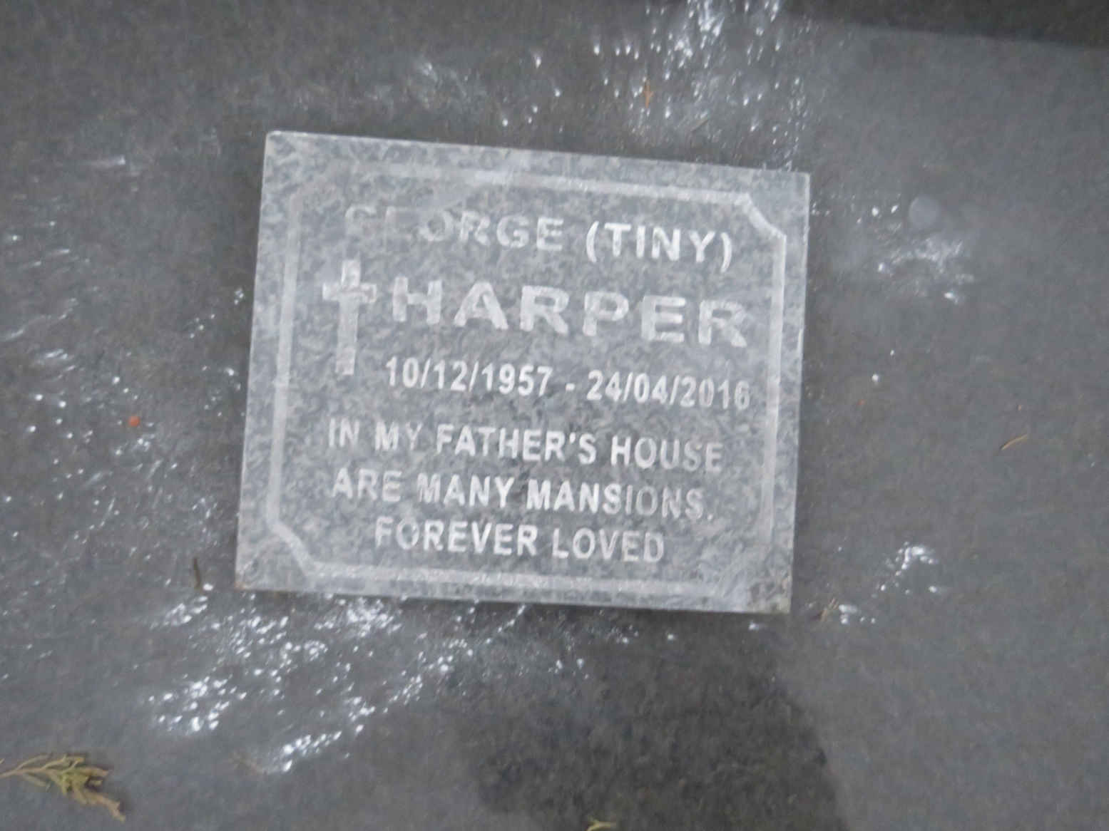 HARPER George 1957-2016