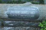 NEL Pieter Daniel 1916-1965
