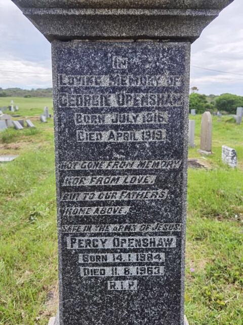 OPENSHAW Percy 1884-1963 :: OPENSHAW George 1916-1919