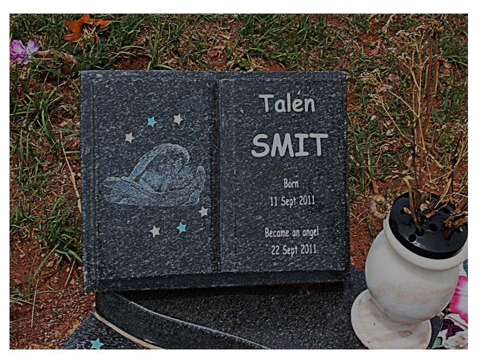 SMIT Talén 2011-2011