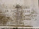 HEESE Jacob de Villiers -1965 & Margaret Wilhelmina Edmundia DU TOIT 1898-1985