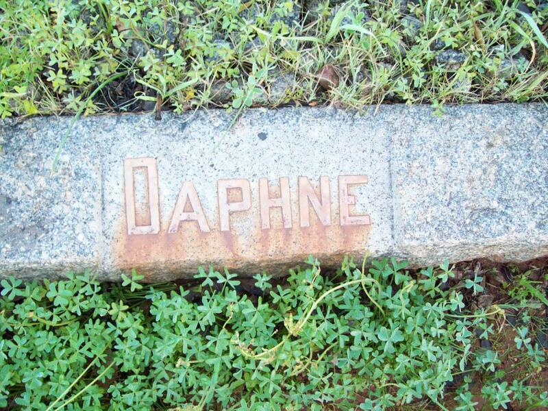 ? Daphne