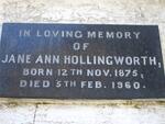 HOLLINGWORTH Jane Ann 1875-1960