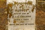 CELLIERS Aubrey 1896-1900