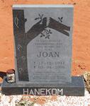 HANEKOM Joan 1941-2005