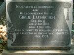 LAUBSCHER Girlie nee MOLL 1890-1955