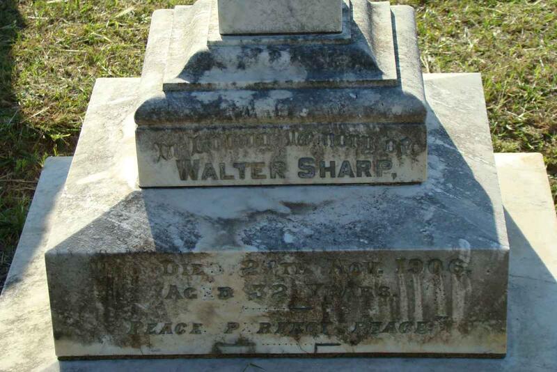 SHARP Walter -1906