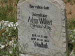 WILBERT Adam 1881-1904