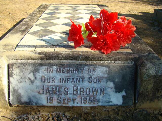 BROWN James 1955-1955