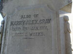 GRAY Harry Alex. -1901
