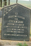 PITT Mary nee SHORTEN 1867-1936
