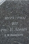 ADAMS H.