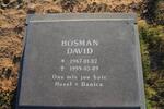 BOSMAN David 1967-1999