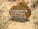 MOTAUNS Moleboh? W.S. 2008-2008