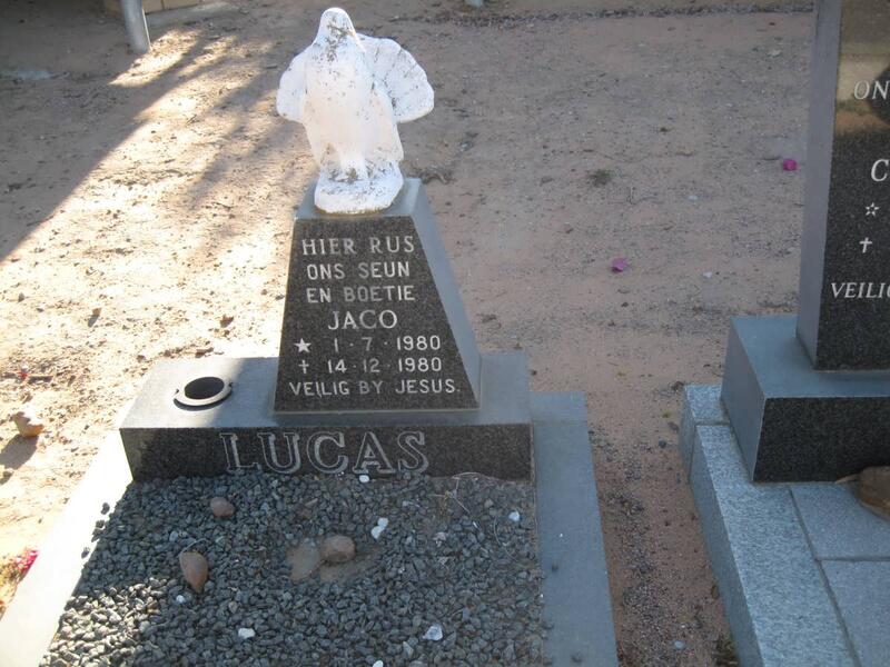 LUCAS Jaco 1980-1980